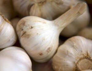 Fresh garlic cloves, a natural superfood for boosting immunity.