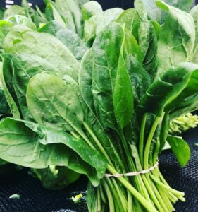 Fresh spinach leaves, a nutrient-rich superfood for boosting immunity.
